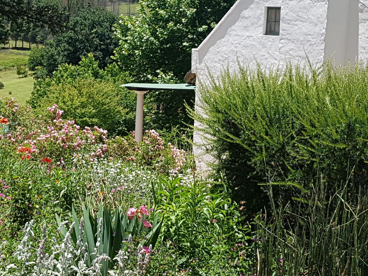 Rosebury Cottage Underberg Exteriör bild